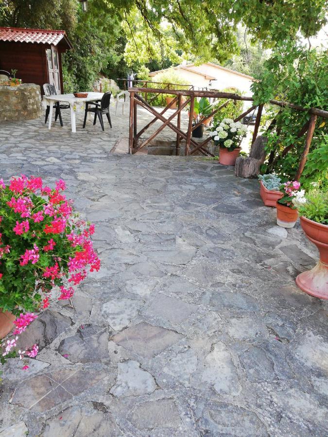 Villino Rosi Vila Monteverdi Marittimo Exterior foto