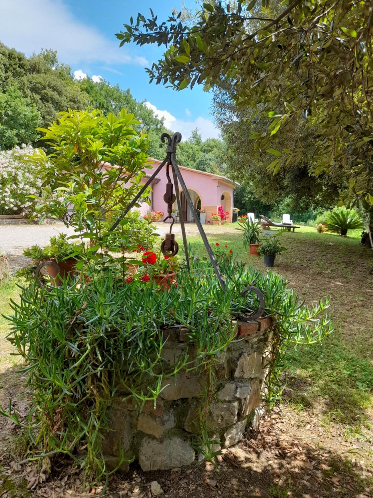 Villino Rosi Vila Monteverdi Marittimo Exterior foto